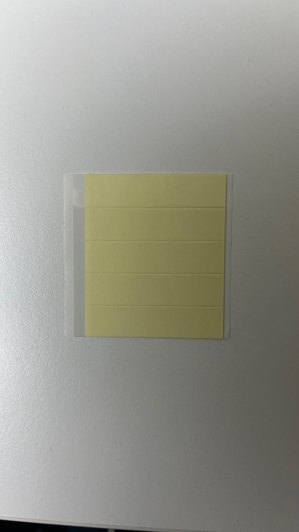 CHW tape Lion strips ZAKJE 12mm x 50mm met vingerlift 50 stuks *BESTSELLER*